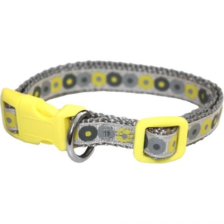 Puppy Collar & Lead Set 