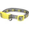 Puppy Collar & Lead Set 