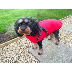 New Red Harness Dog Jacket