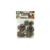 Back Zoo Nature Forest Pine Cones 6 pz.