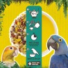 Back Zoo Nature Parrot Tea Fruit & Blossom 65 gr